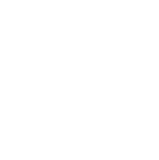 ISO-27001-icon